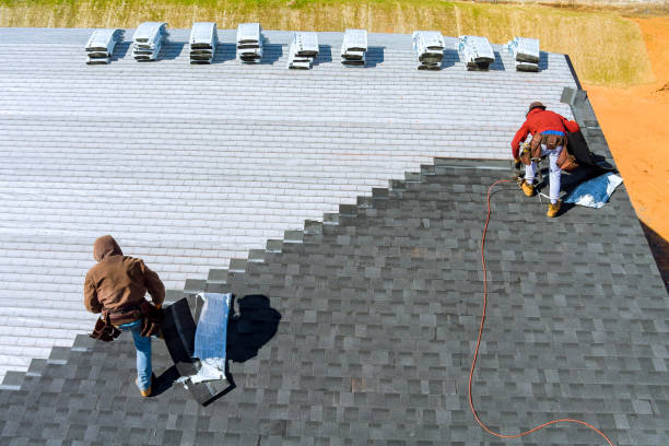 Best Metal Roofing Contractor  in Lago Vista, TX