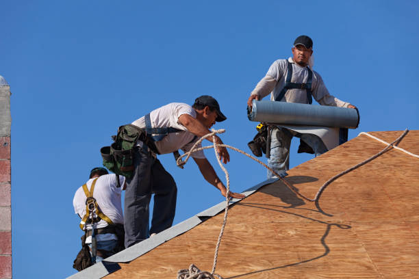 Best Gutter Installation and Roofing  in Lago Vista, TX